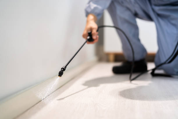 Licensed Pest Control service in Saybrook Manor, CT - Show Me Pest Control