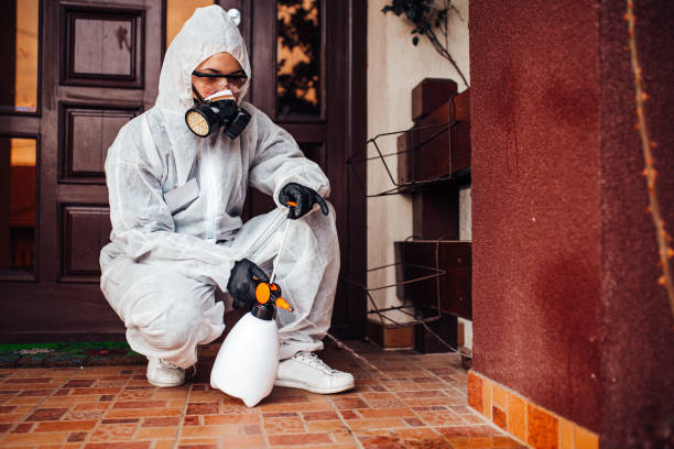 Reliable Mosquito Control contractor in Saybrook Manor, CT by Show Me Pest Control
